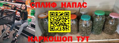 сатива Малгобек