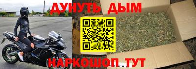 сатива Малгобек