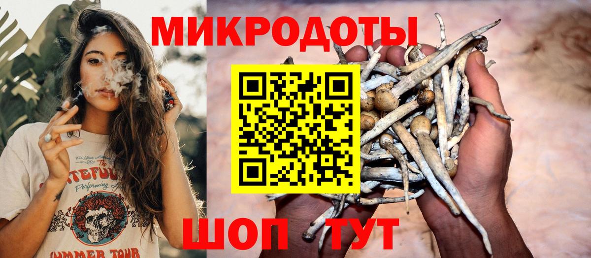 Хасавюрт  Псилоцибиновые грибы Magic Shrooms  Вход с VPN  где купить наркотик  Галлюциногенные грибы мухоморы 