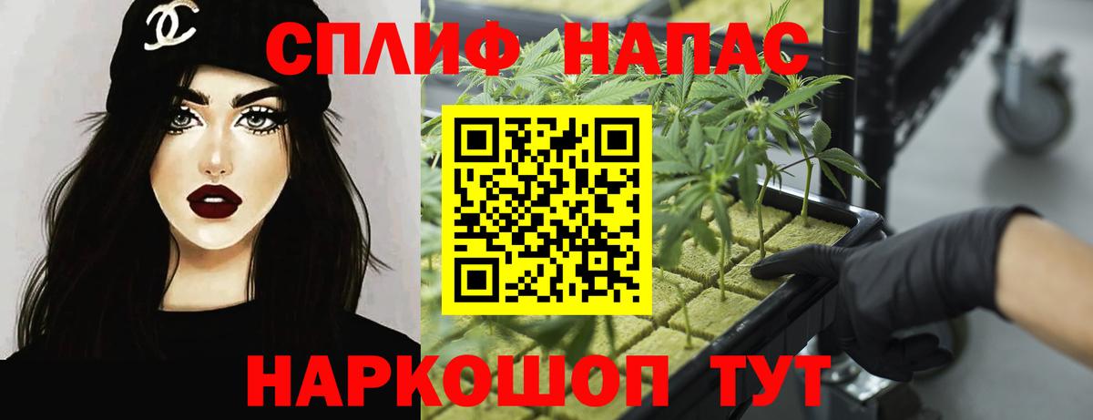 Бошки марихуана ГИДРОПОН Хасавюрт